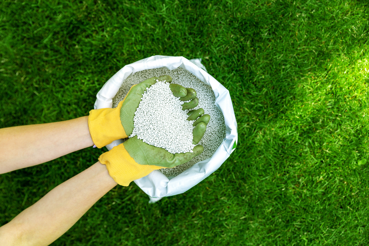 Fertilizer is Key to a Thriving Lawn—But Beware of Overdoing It